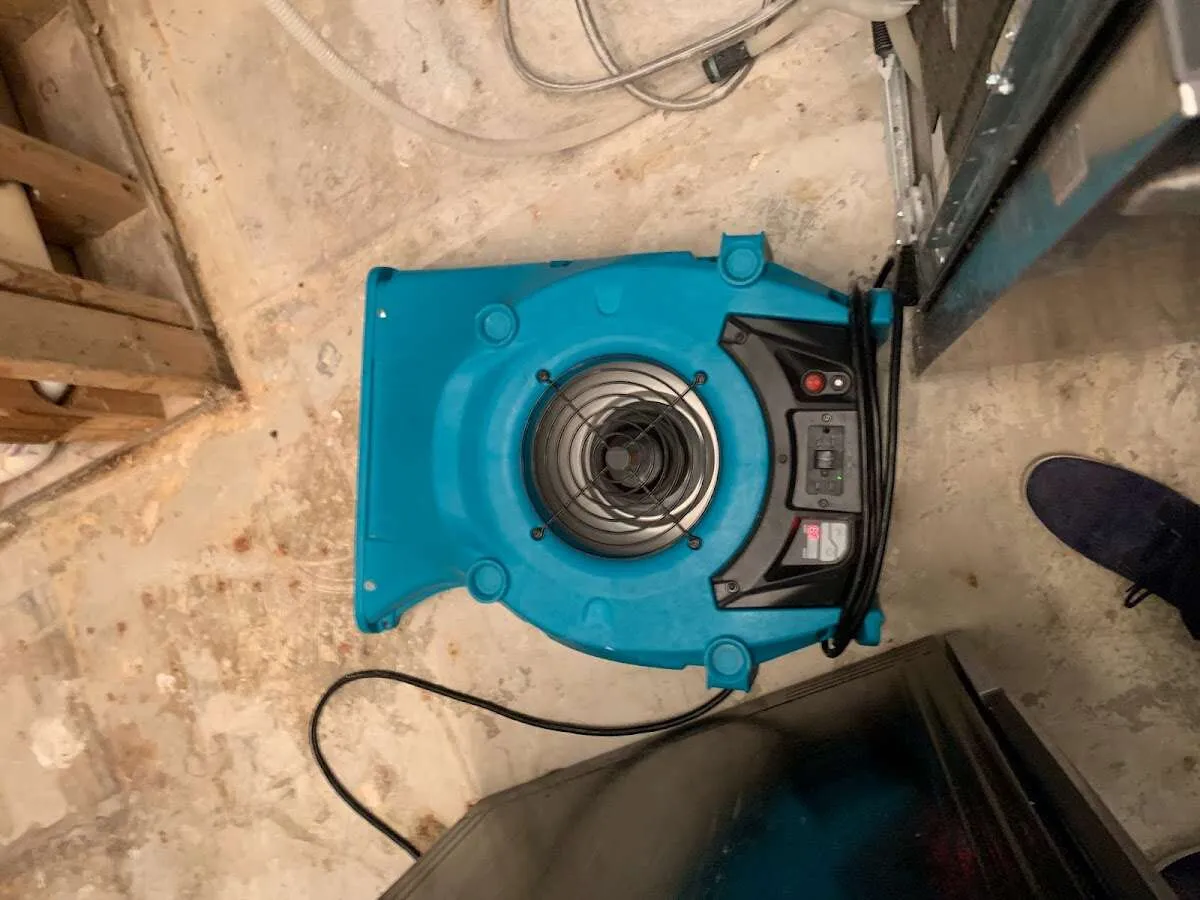 Air mover drying equipment for Mold Remediation & Removal in Westfield